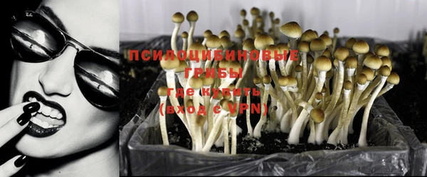 mdma Осташков